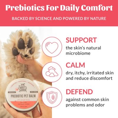 Image showing  Prebiotic Pet Balm 2 oz.