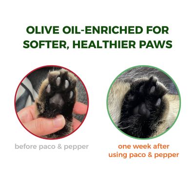 Image showing  Olive Pit Dustless Clumping Natural Cat Litter