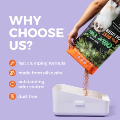 Image showing  Olive Pit Dustless Clumping Natural Cat Litter