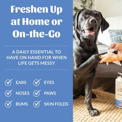 Image showing  Pet Grooming Wipes 80 ct.