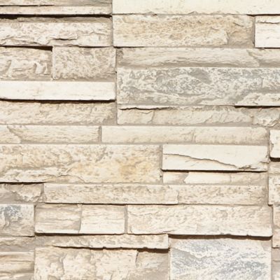 Tritan BP Traditions 48 in. x 24 in. Faux Stone Siding Panel, TDS-4824-FBH