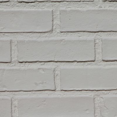 Tritan BP British Brick 44 in. x 24 in. Faux Brick Siding Panel, BB-4824-CWE