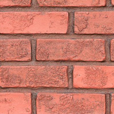 Tritan BP Aged Brick 44 in. x 24 in. Faux Brick Siding Panel, AB-4323-BRD