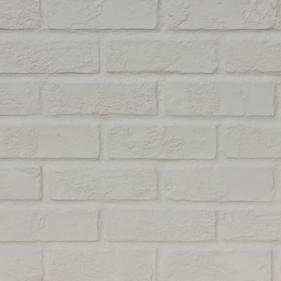 Tritan BP Aged Brick 44 in. x 24 in. Faux Brick Siding Panel, AB-4323-CWE