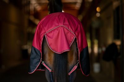 Image showing  Comfy Fit 1200 D RipStop Waterproof/Breathable Comfy Winter Turnout Blanket