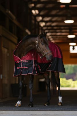 Image showing  Comfy Fit 1200 D RipStop Waterproof/Breathable Comfy Winter Turnout Blanket