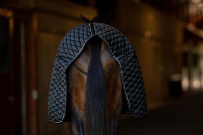 Image showing  Kozy Komfort Two Stable Blanket With Diamond Quilting, 420 D 200 GSM Of Fill