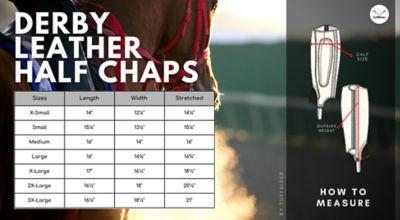 Image showing 3 th TuffRider Ladies Derby Leather Half Chaps