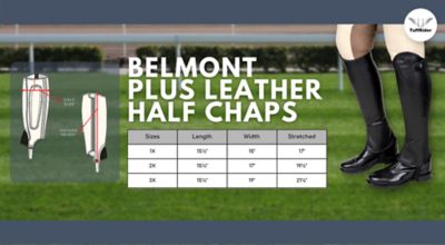 Image showing  Ladies Belmont Plus Leather Half Chaps