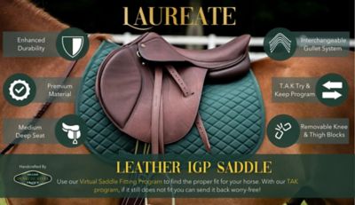 Image showing  Laureate IGP Saddle