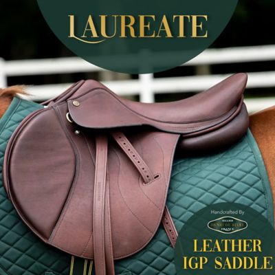 Image showing  Laureate IGP Saddle