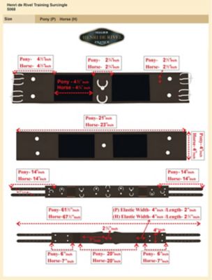Image showing  Training Surcingle