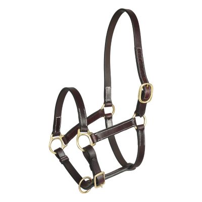 Henri de Rivel Pre Oiled Leather Halter with White Stitching, No Snap