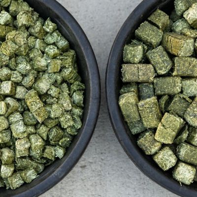 Image showing  Timothy Grass Mini Forage Cubes, 40 lb.