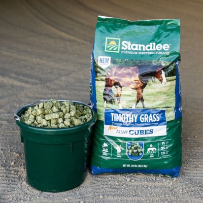 Image showing 6 th Standlee Timothy Grass Mini Forage Cubes, 40 lb.