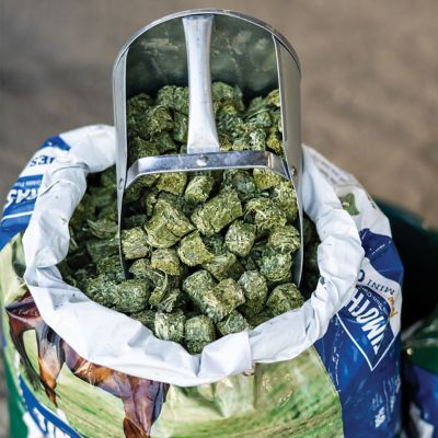 Image showing 9 th Standlee Timothy Grass Mini Forage Cubes, 40 lb.