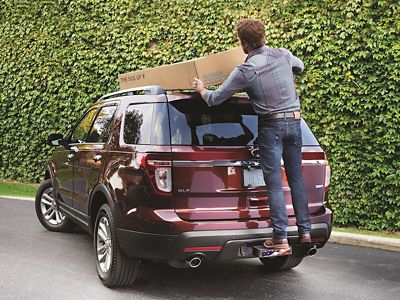 Image showing  American Flag Bump Receiver Step