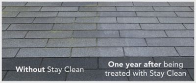 Image showing  Stay Clean Ready-to-Use Clear Coating Protects Surfaces from Mold & Dirt