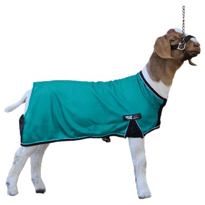 Image showing  Cool Tech Goat Blankets