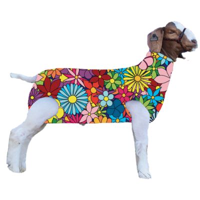 Product TrademarkColor1