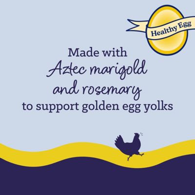 Image showing  Tidbits Healthy Egg Poultry Treat