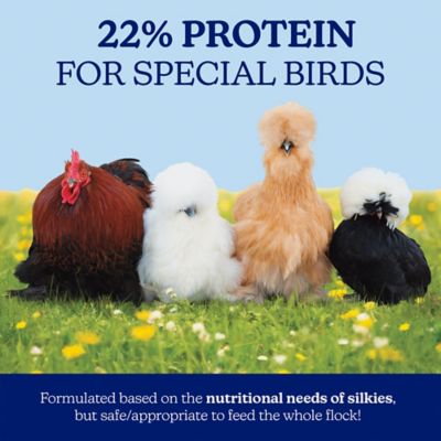 Image showing  22% Protein Silkie & Ornamental Layer Poultry Feed