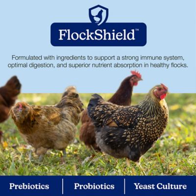 Image showing 5 th Nutrena NatureWise 22% Protein Silkie & Ornamental Layer Poultry Feed, 30 lb.