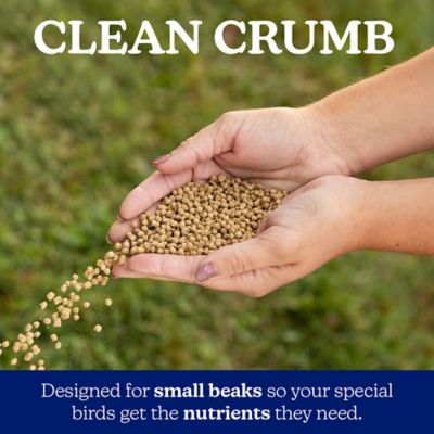 Image showing 6 th Nutrena NatureWise 22% Protein Silkie & Ornamental Layer Poultry Feed, 30 lb.