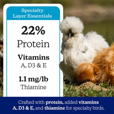 Image showing 7 th Nutrena NatureWise 22% Protein Silkie & Ornamental Layer Poultry Feed, 30 lb.
