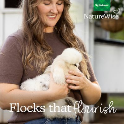 Image showing 9 th Nutrena NatureWise 22% Protein Silkie & Ornamental Layer Poultry Feed, 30 lb.