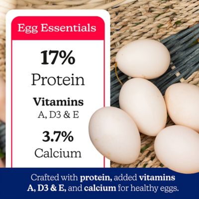 Image showing  17% Protein Layer Crumble Poultry Feed