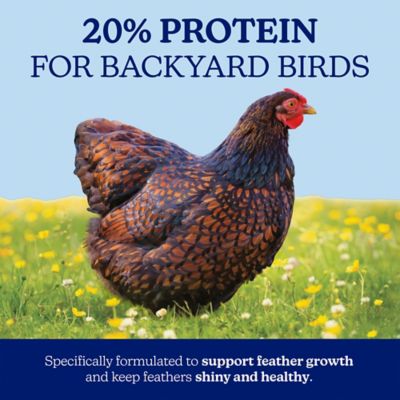 Image showing  20% Protein Feather Fixer Pellet Poultry Feed