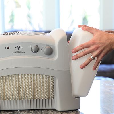 Image showing  Evap40 Evaporative Humidifier