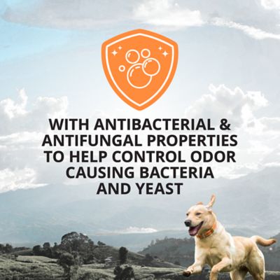 Image showing  Unscented Deodorizing Dog Shampoo, 32 oz.