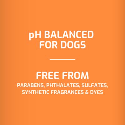 Image showing  Unscented Deodorizing Dog Shampoo, 32 oz.