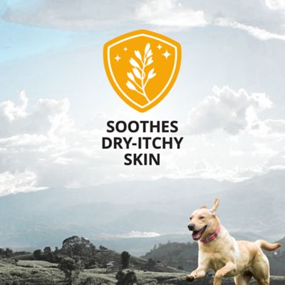 Image showing  Scented Oatmeal Dog Shampoo, 64 oz.