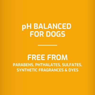 Image showing 6 th 4health Scented Oatmeal Dog Shampoo, 64 oz.