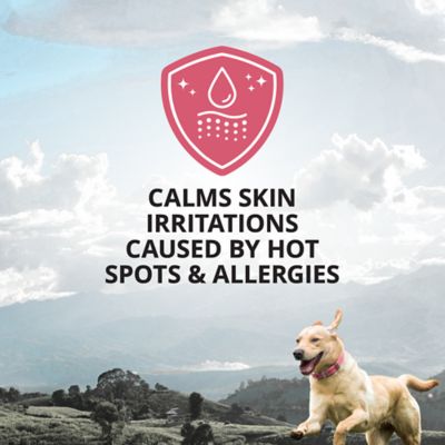 Image showing  Unscented Hot Spot Dog Shampoo with Honeysuckle and Aloe Vera, 32 oz.