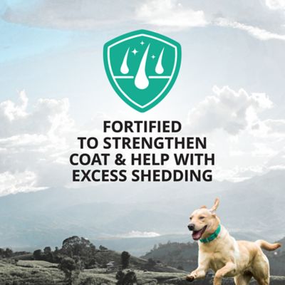 Image showing  Unscented Deshedding Dog Shampoo, 32 oz.