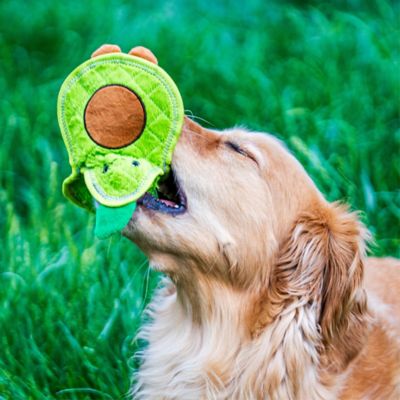 Image showing 7 th Growl Flip Floppz Fruit ASST