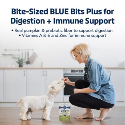 Image showing  Bits Plus Digestion + Immune Dog Treats, 9.5 oz.