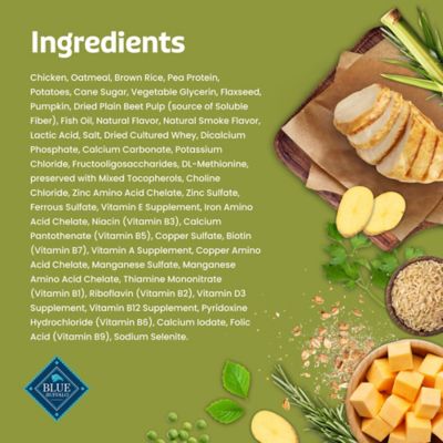 Image showing  Bits Plus Digestion + Immune Dog Treats, 9.5 oz.