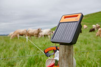 Image showing  S60 0.6-Joule Lithium Solar Energizer