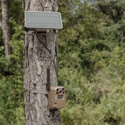 Image showing 6 th Moultrie 3.4W Solar Power Pack II Trail Camera Accessory