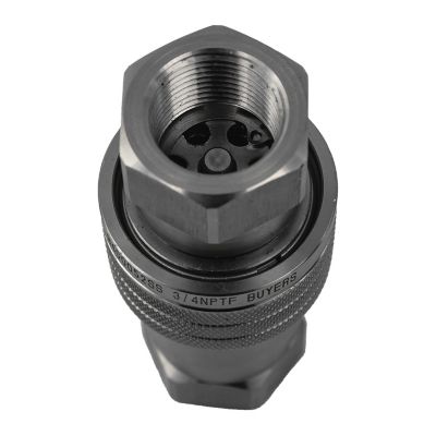 Image showing  Hydraulic Coupler Set, SST, 3/4 in. NPTF