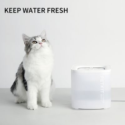Image showing  Eversweet Solo SE Water Fountain with Wireless Pump
