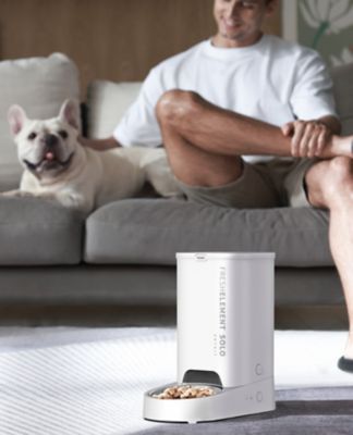 Image showing  Fresh Element Solo Automatic Pet Feeder