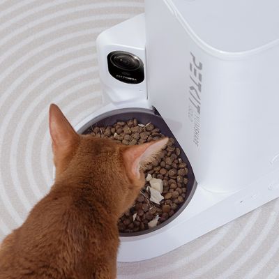 Image showing 7 th Petkit YumShare Solo Automatic Cat Feeder with Camera