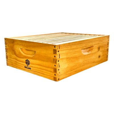 Image showing  Medium Honey Super With Frames