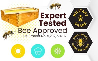 Image showing  Medium Honey Super With Frames